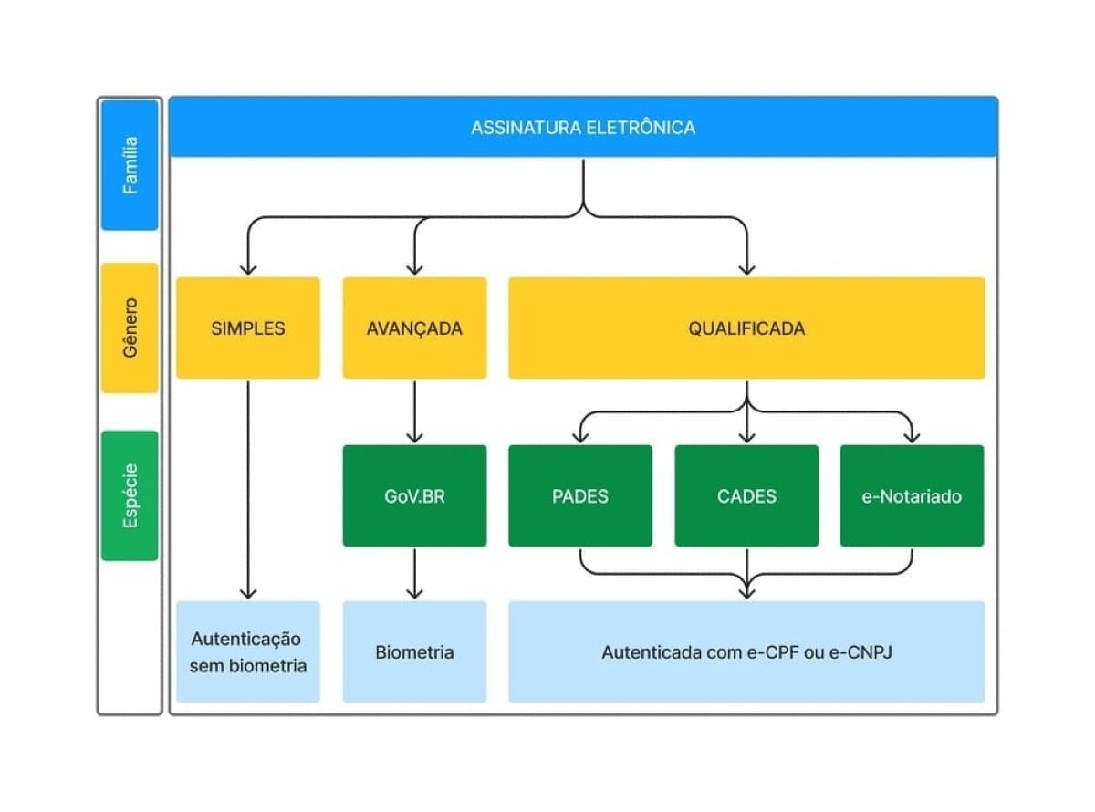 Organograma da Classificação das Assinaturas Eletrônicas.